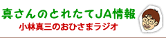 真さんのとれたてJA情報